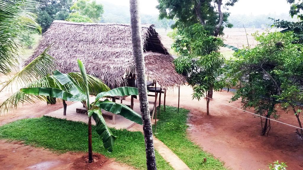 Lakmini Lodge Sigiriya Luaran gambar