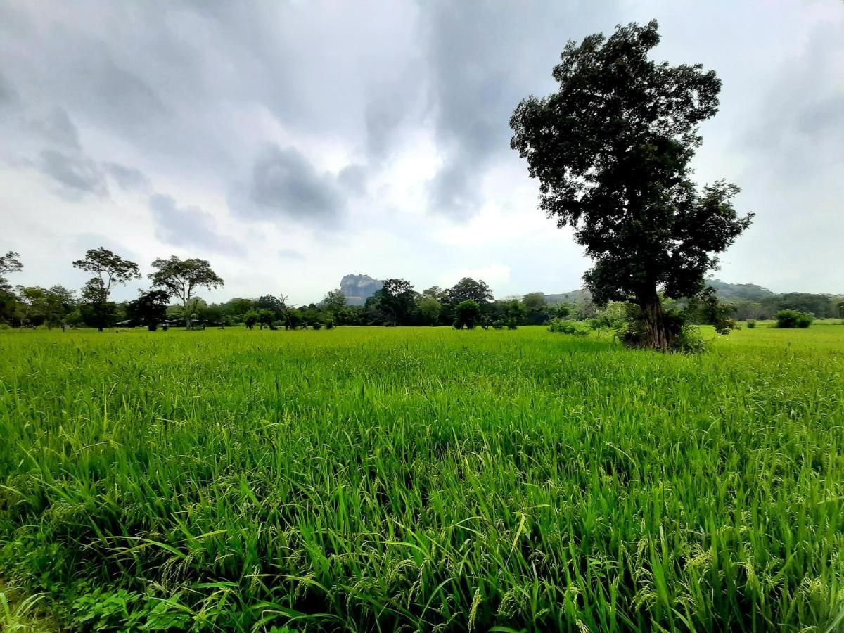 Lakmini Lodge Sigiriya Luaran gambar